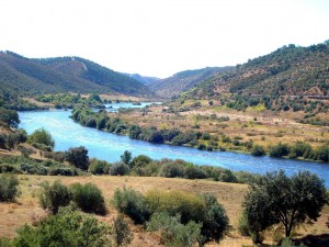 roadtocoimbra roadtocoimbra